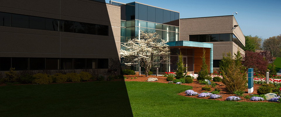 Millen Landscapers