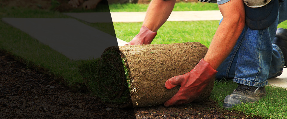 Millen Landscapers